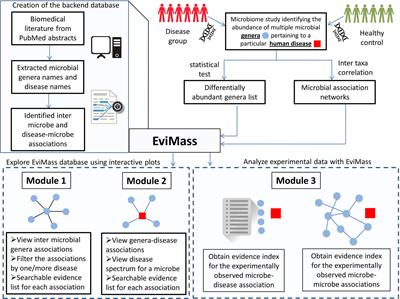 “EviMass”: A Literature Evidence-Based Miner for Human Microbial Associations